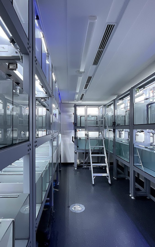 Fish tank rack system for aquatic research facility - LUXAQUA