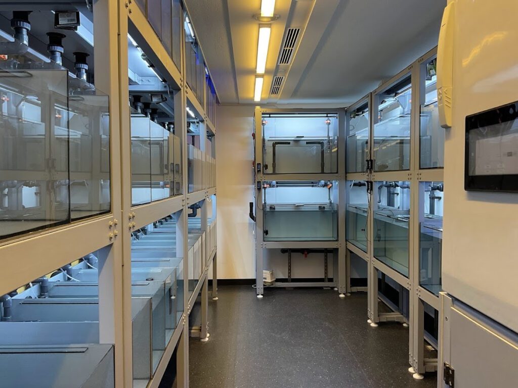 fish tank and aquatic housing for research
