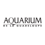 aquarium-de-la-guadeloupe