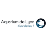 lyon