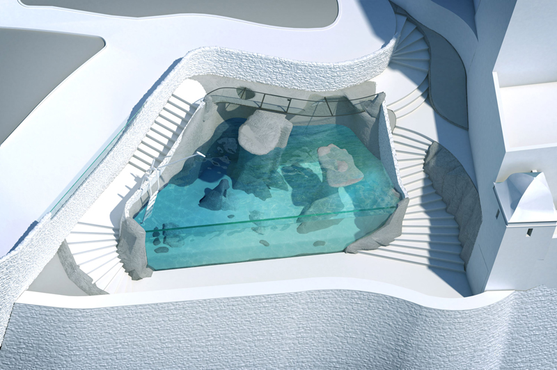 3D rendering turtle rehabilitation pool project - oceanographic museum Monaco