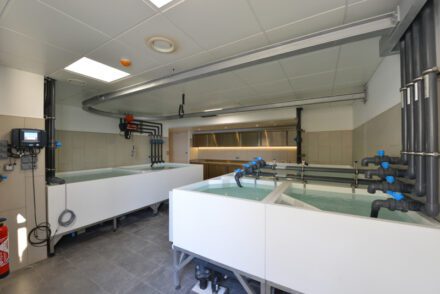 Indoor care centre for sea turtles - Oceanographic museum Monaco
