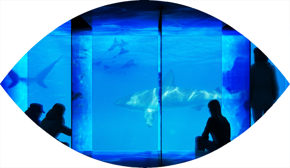 Doha research institute - Aquatic conservation