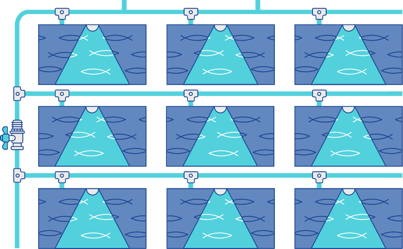 Designing a fish tank system for research with LSS automation