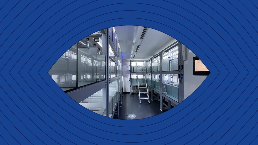 Heavy duty shelving for fish tanks how to make it stronger?